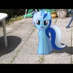 Pony Virtual Reality